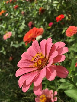 孩子上課愛講話請問怎么教育