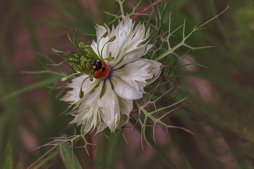 如何幫助孩子克服厭學(xué)情緒