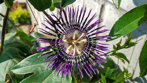 家長必讀:九招改善親子關(guān)系