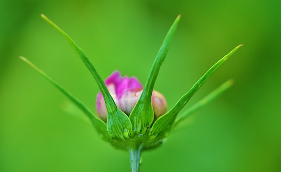 如何讓孩子真正愛上學(xué)習(xí)?一位體育老師的真實(shí)經(jīng)驗(yàn)