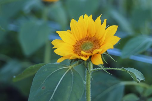 小說閱讀對孩子的影響及正確引導