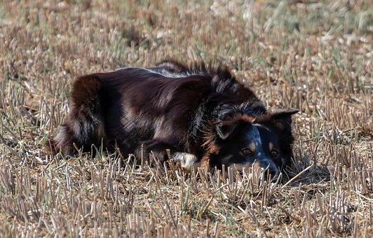 �����������ڌWУ��ܼ��Lԓ��ô̎��