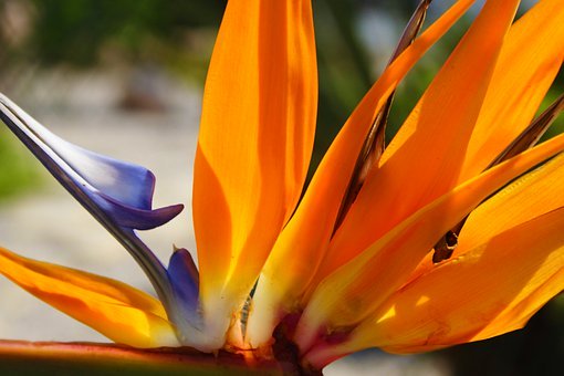 һ12qӵĴӛЩԵĆ̖ʹĸ