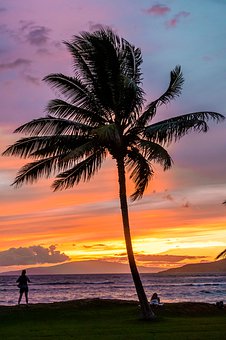 一年級孩子之間發生矛盾家長怎么處理