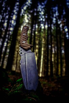 ����Ů�������όW���ԌWʲô