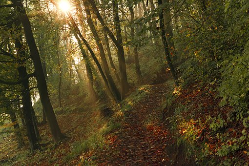 什么是成功的家庭教育