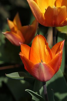 沉迷游戲會影響生活和學習