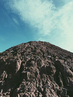 2011���� С�Z�N�����Ğ鱾����ǰ����