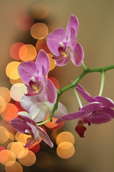 小孩子談戀愛(ài)怎么教育