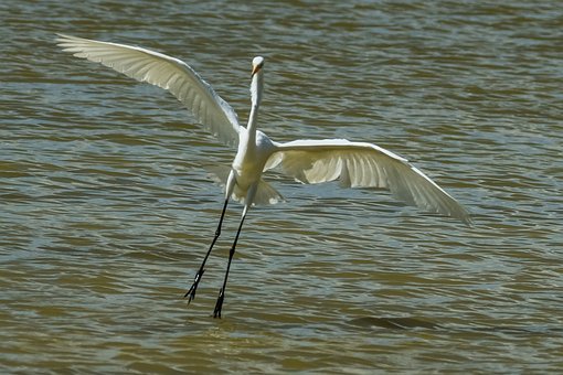 �����ڵĺ�����ʲô�k���ܽ�Q