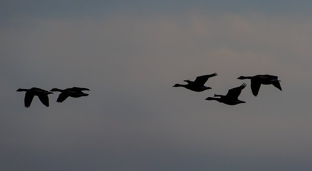 怎樣教育不聽話的小孩子