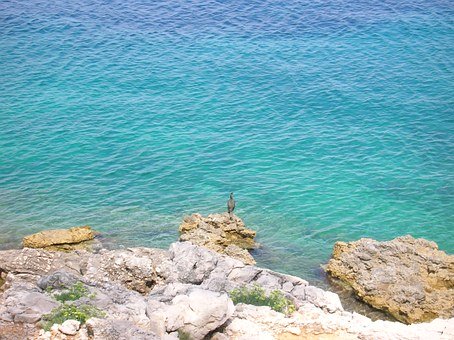 �������αر�֪�R�c100%�R���c�W�����`���ָ��