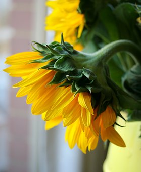 ���w�ա��̰�ʾ��