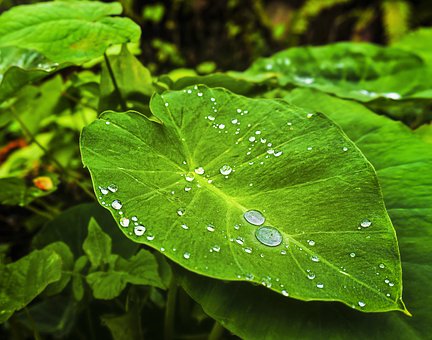 ˹̹����W�����W���ڣ����˼ҵĺ��ӌW�����ã�