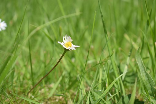 2013北京家教培訓行業現狀調查