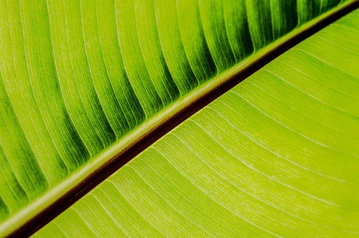 ����̫�{Ƥ���ӽ����ź�