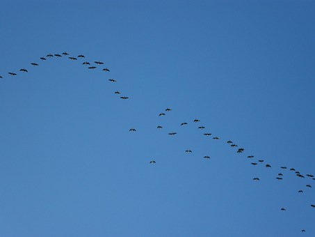 孩子叛逆要手機不給她就鬧怎么辦