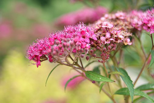 淺談在當下課外輔導體系中家教都扮演了哪些重要的角色?