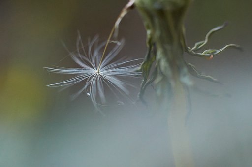 Ů���Ӳ� Ԓ���R��������ô����