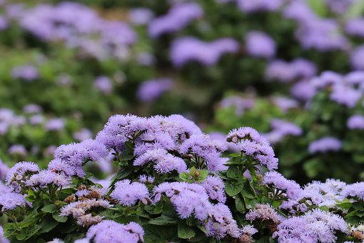 һ꼉ZĹPTֻǿԇcǝh֮ĵһn