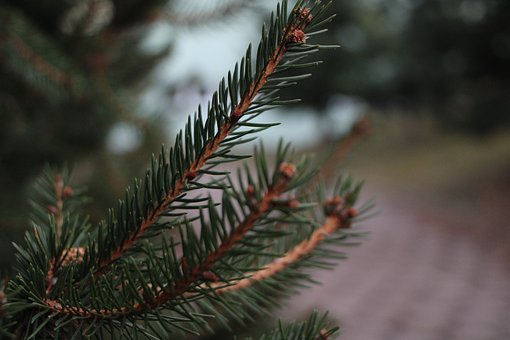 九年義務教育孩子不肯上學怎么辦