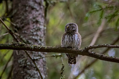 ���ҽ����߳��Z�Ľ̌W���`�^