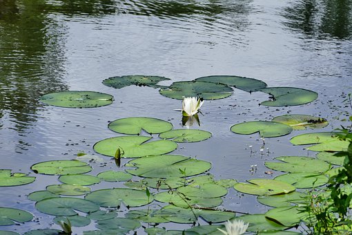 黑暗中使用手機:對孩子視力和健康的負面影響