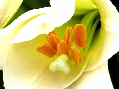 8歲孩子上課老是講話怎么辦