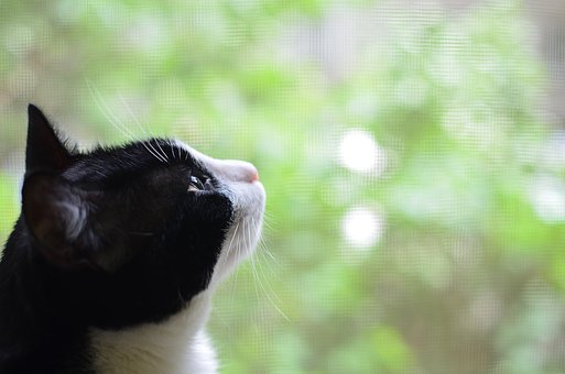 青春期媽媽應該怎樣教育女孩子