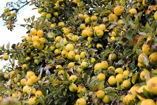 初中學生不想上學咋辦