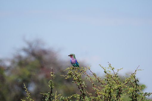 如何引導高中孩子合理玩游戲并保證學業?