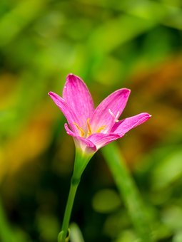 Ů������ȥ�όW��ô�k