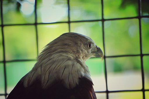 �����������Ì�򞷽���w�{