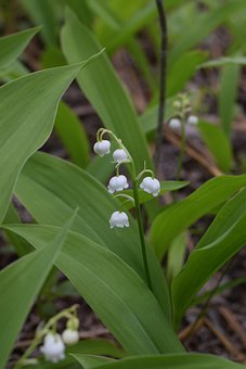 孩子寫作業磨蹭怎么辦有什么好方法