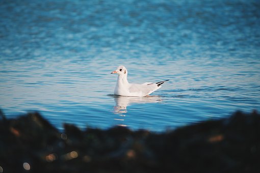 孩子每次考試都緊張?jiān)趺唇鉀Q