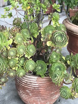 高考成功的關鍵