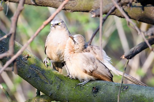 ����������֙C��ԭ�򼰽�Q����