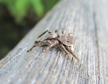 家長焦慮抑郁癥對孩子學習和發(fā)展的影響