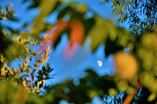 培養高情商的孩子:關鍵技巧和重要作用