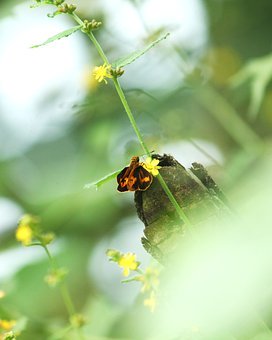 孩子一年級上課注意力不集中怎么辦