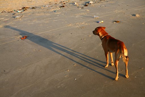 ��һ������ô�W(xu��)����s-t�D��v-t�D�_ʼ����˼·