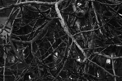 2010��߿�������ʮ��俼Ҫ�c�����}Ӗ��