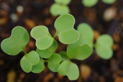 小孩不愛寫作業拖拉該不該打