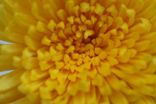 ��ɞ�һ�����ֵļҽ��ώ����@Щ�������횵Õ�