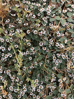 �������Ǹ�ĸ���߿�����׌��������o����ʲô���h��