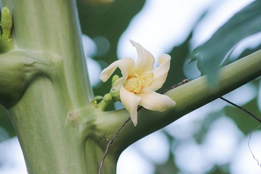 北京中學生請家教特點及誤區