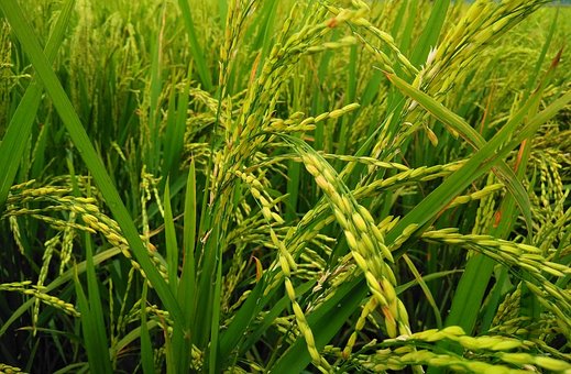 15歲女孩不聽話叛逆怎么辦