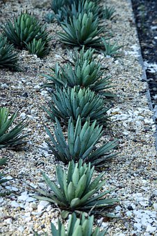 13�qŮ������������ô��������Ą�(l��)�Ͱ��ݣ��e�O����ԭ�򲢌�(du��)�Y̎�����m��(d��ng)���B(y��ng)�dȤ�ۺû��\(y��n)��(d��ng)��