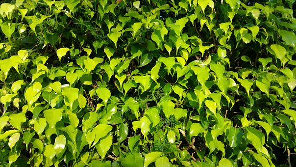 ���ӳɿ�(j��)������ô���ώ���ͨ