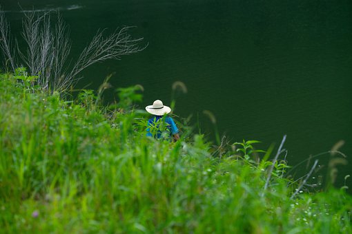 ��Q���ӳ����Α����Ч����